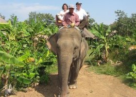 Elephant riding at Luang Prabang Elephant Camp