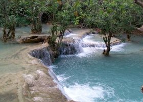 Kuang Si Waterfall & Rescue Bear Park