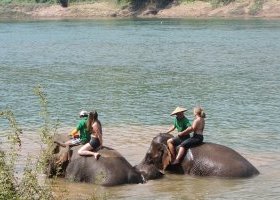 Elephant bathing close to Luang Prabang